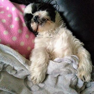 Wendy Morisseau's avatar