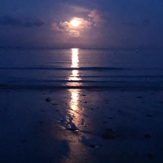 John Waller's avatar