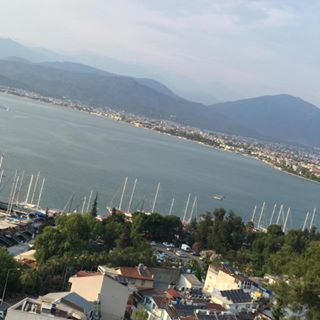 Usama Tlala's avatar