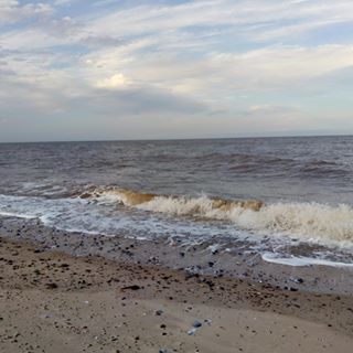 Sharon Connors's avatar