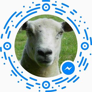 Alison GEaves's avatar