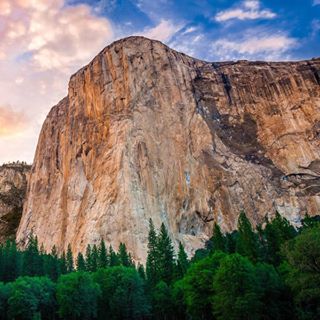 Seni Williams's avatar