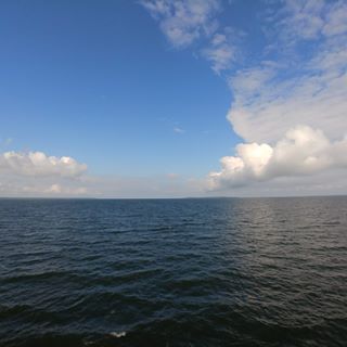 Peter Sharpe's avatar