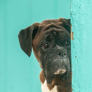 Angie Vahey's avatar