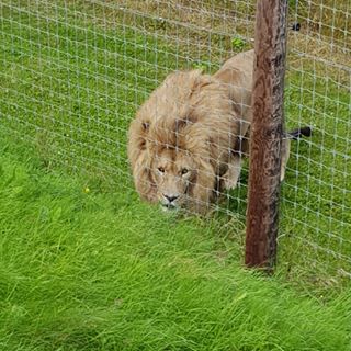 Sammy Britcliffe's avatar