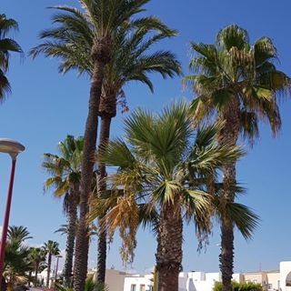 Barry Smith's avatar