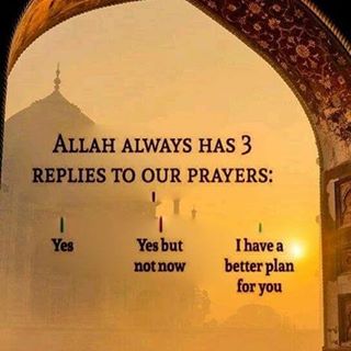 Yasin Mohammed Miah's avatar