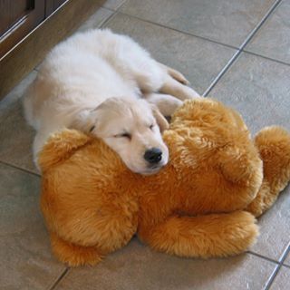 Stephen Parker's avatar