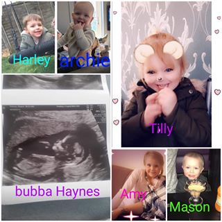 Susan Stocker's avatar