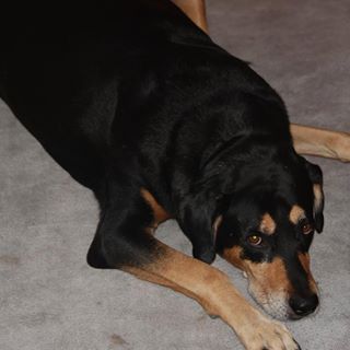 Dave Powell's avatar