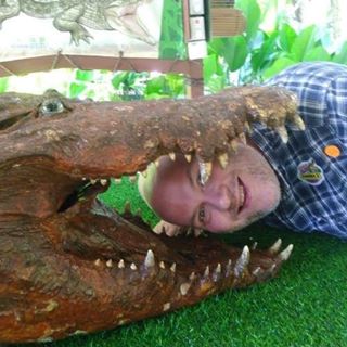 Martin Dunne's avatar