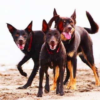 Gary Wilkes's avatar