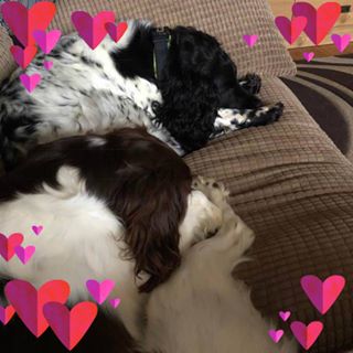 Claudia Kelly Wickenden's avatar