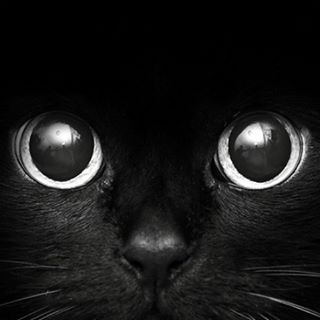 Sandra Moss's avatar