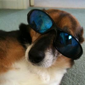 Scott Crowhurst's avatar