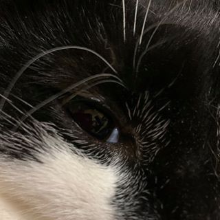 Zoe Sanderson's avatar