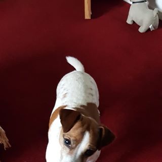 Kathleen Murphy's avatar