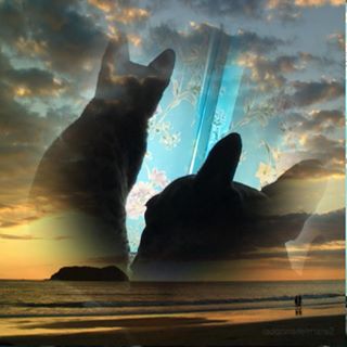 Karen Reynolds's avatar