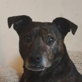 Daniel Kavanagh's avatar