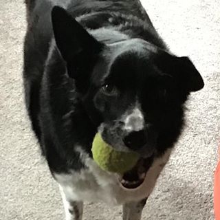 Robert Broad's avatar