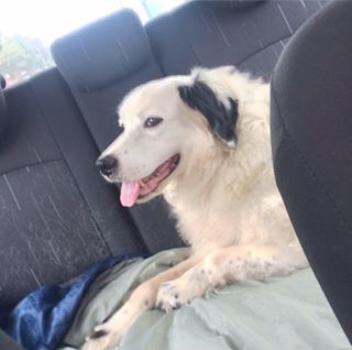 Michaela Bennett's avatar