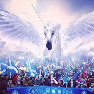 Linda Hughes Graham's avatar