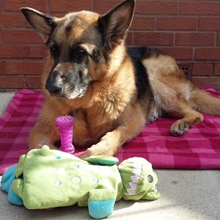 Kevin Charles's avatar