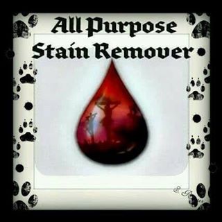 Joel Reavie's avatar