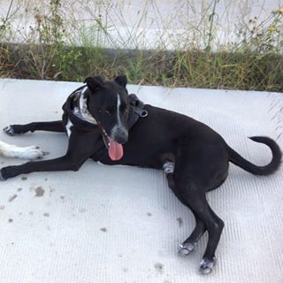 Justine Stratton's avatar