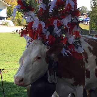 Anton Taylor's avatar