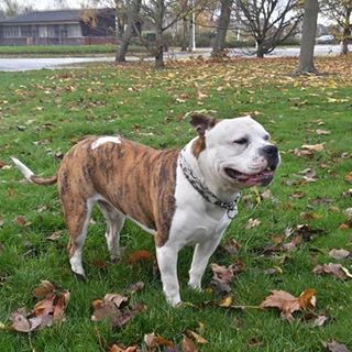 Polak Polak Polak's avatar