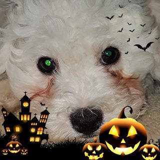 Eddie JR Dymond's avatar