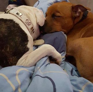 Ellie Willcocks's avatar