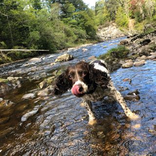 Mark Taff East's avatar