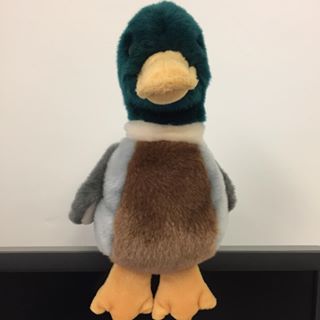 Gordon Duckenford's avatar