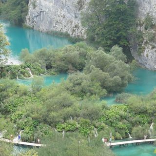 Julie Robertson's avatar