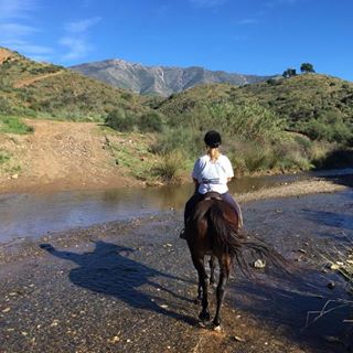 Janet McFee's avatar