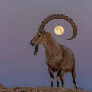 Abdullah Alnahdi's avatar