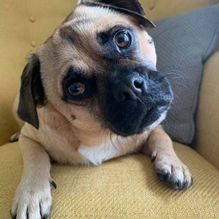 Julie Grant's avatar