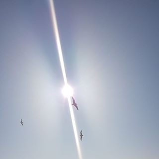 Phil Whitaker's avatar