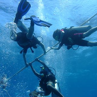 Allan Hutchins's avatar