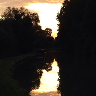 Tara Elliott's avatar