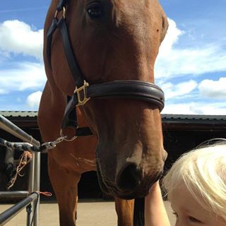 Nancy Walker's avatar