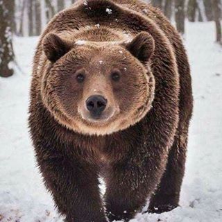 Paslaru Gheorghiu Bogdan's avatar