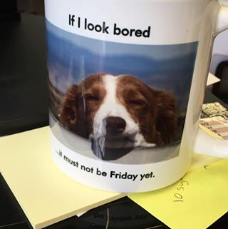 Sandra Ellis's avatar