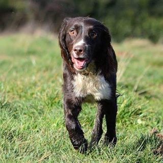 Mitch Penny's avatar