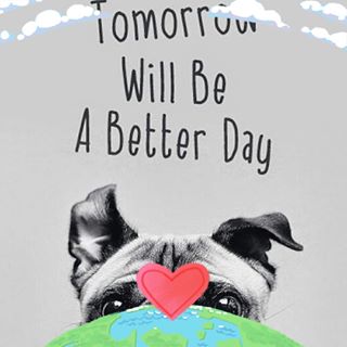 Garjoaba Laurentiu's avatar