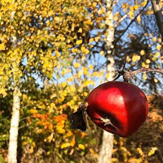 Jurga Barkauskaite's avatar