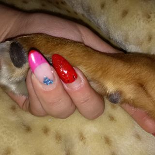 Destiny Tarducci's avatar