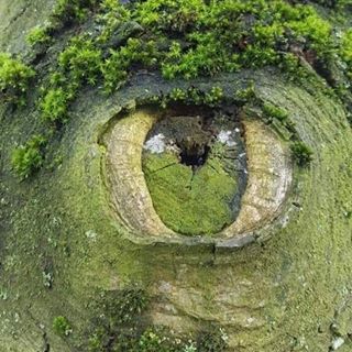 Kamal Mohssine's avatar